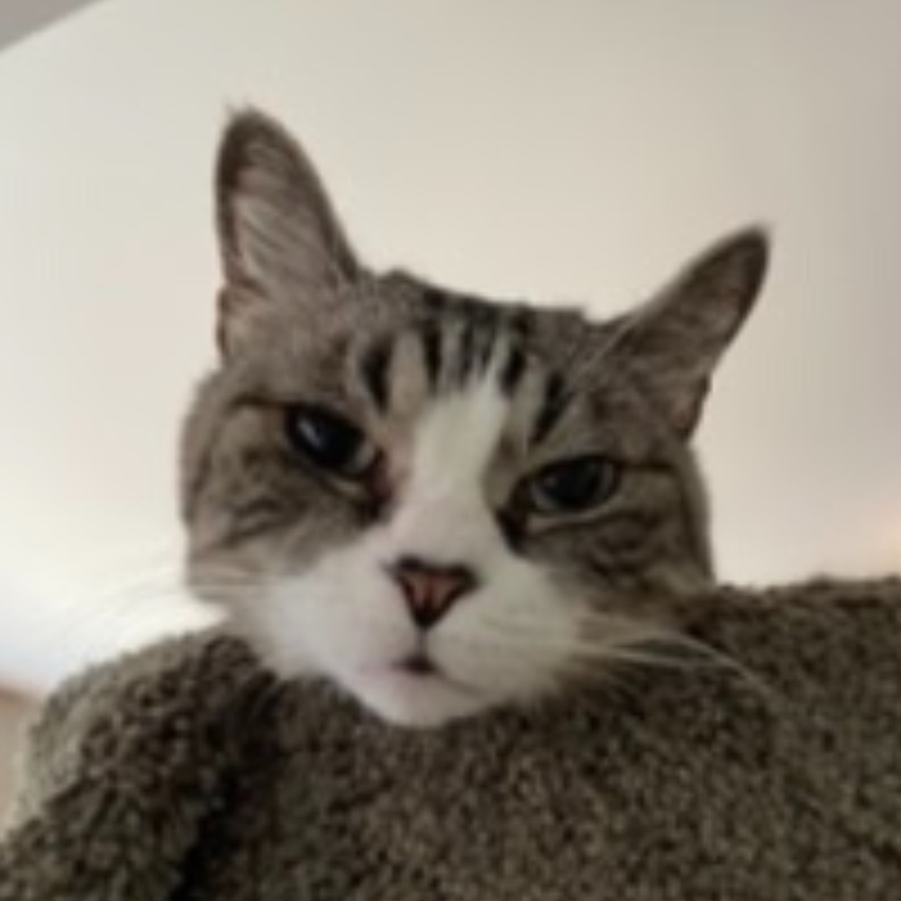 Meet your Posher, Shannon